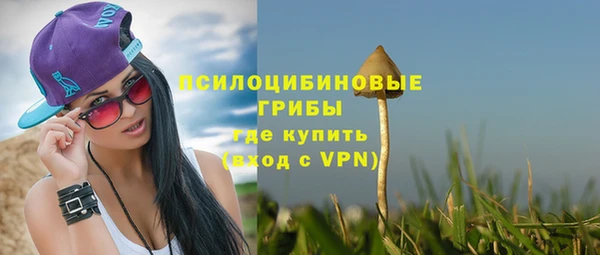 метадон Арсеньев
