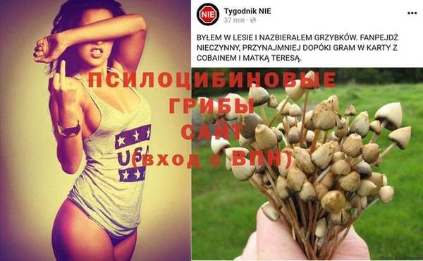 кокаин Алексеевка