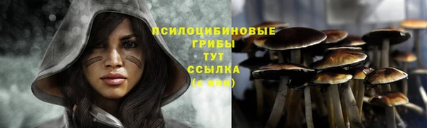 кокаин Алексеевка