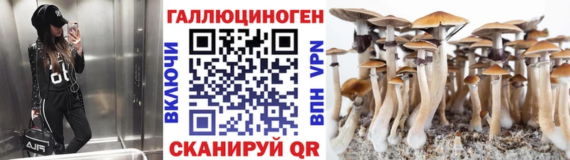 Галлюциногенные грибы MAGIC MUSHROOMS  что такое наркотик  Азнакаево 